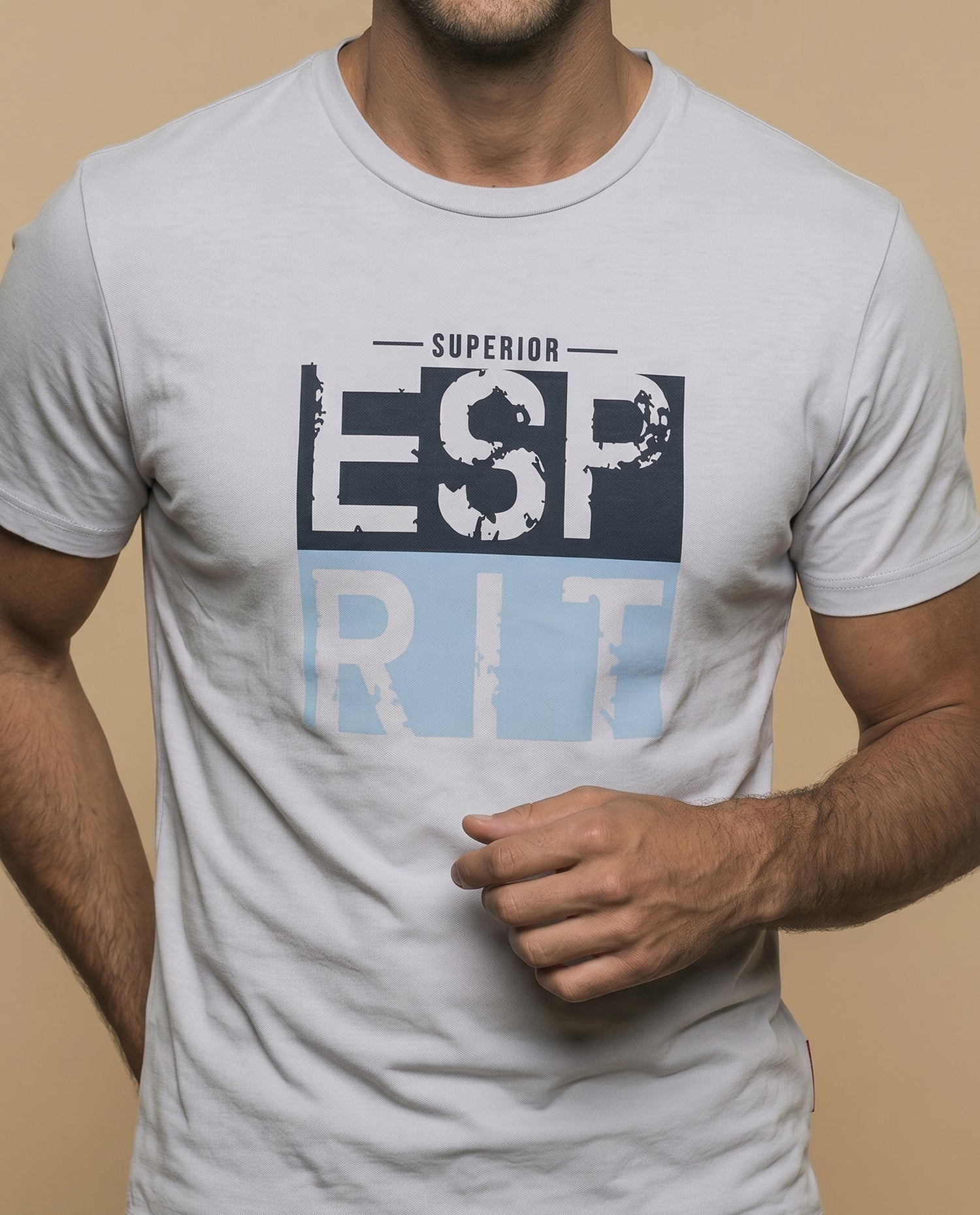Camiseta manga corta algodón - Gris